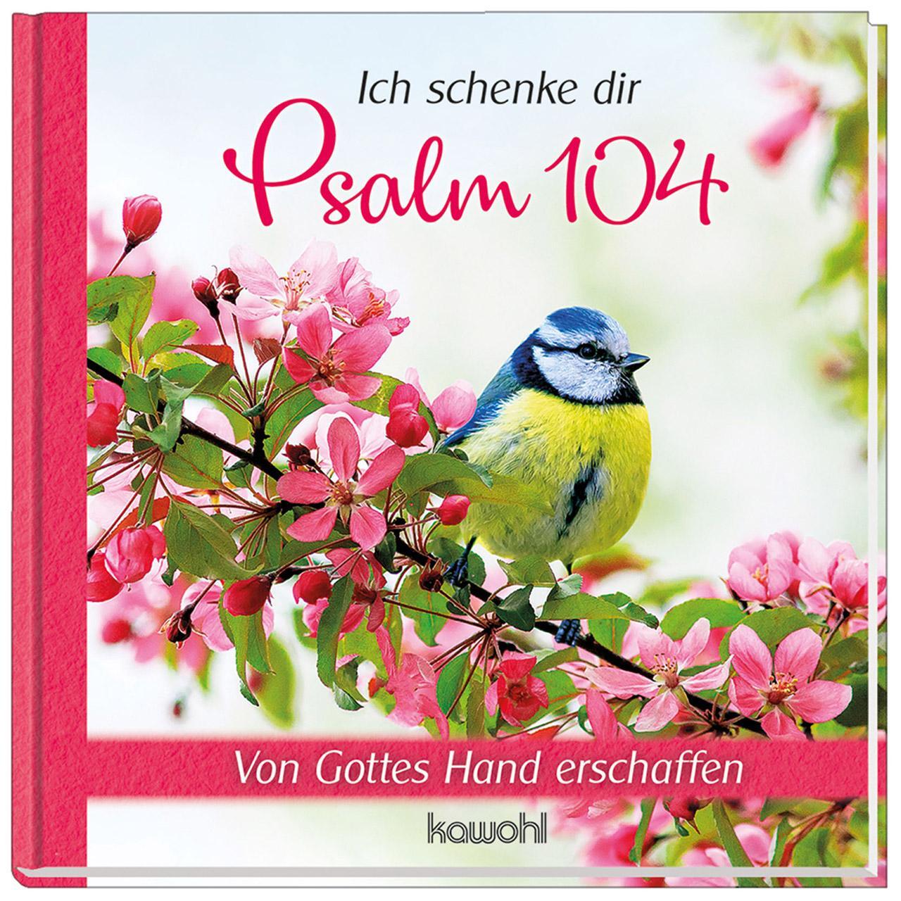 Cover: 9783863382117 | Ich schenke dir Psalm 104 | Aus Gottes Hand erschaffen | Buch | 32 S.