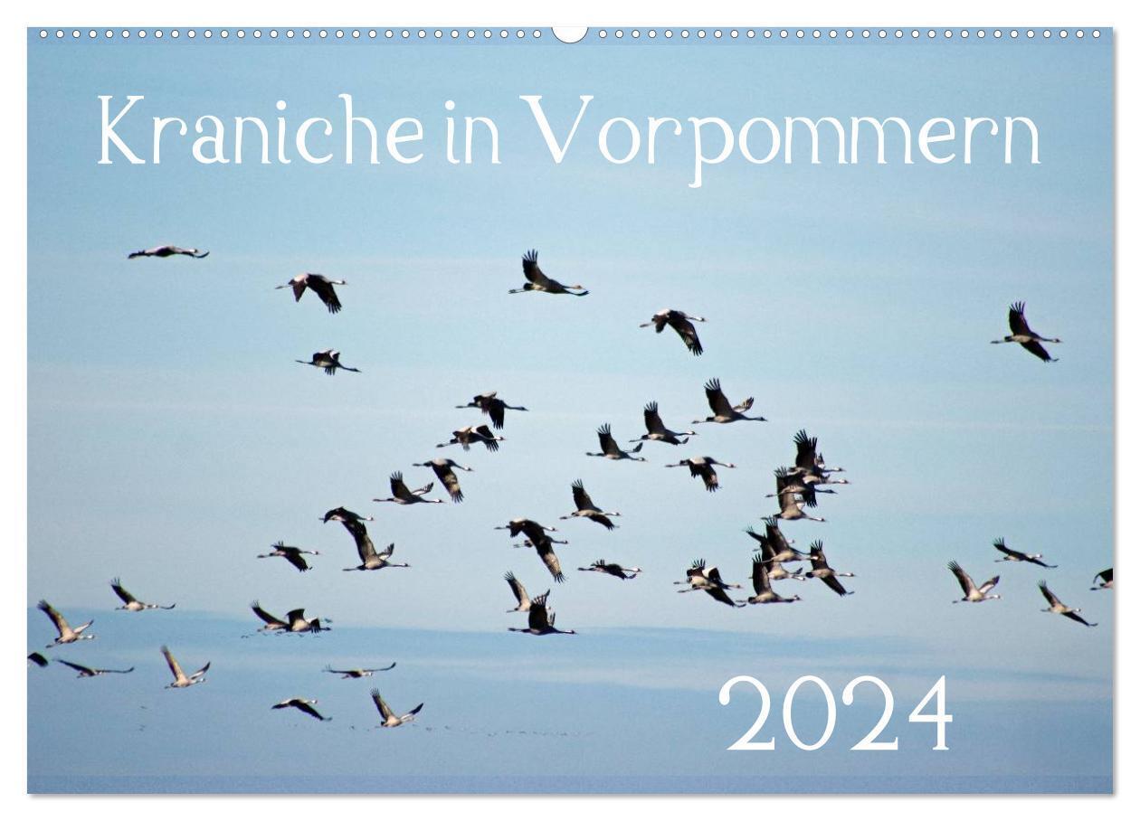 Cover: 9783675476103 | Kraniche in Vorpommern (Wandkalender 2024 DIN A2 quer), CALVENDO...