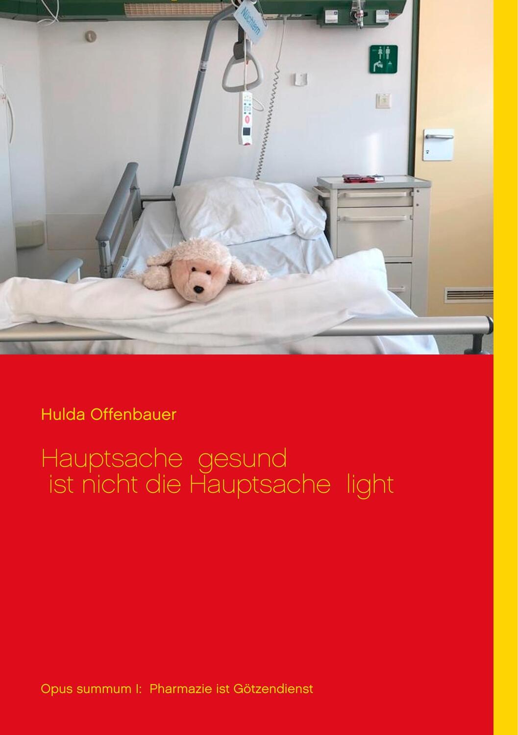 Cover: 9783734792656 | Hauptsache gesund ist nicht die Hauptsache light | Hulda Offenbauer