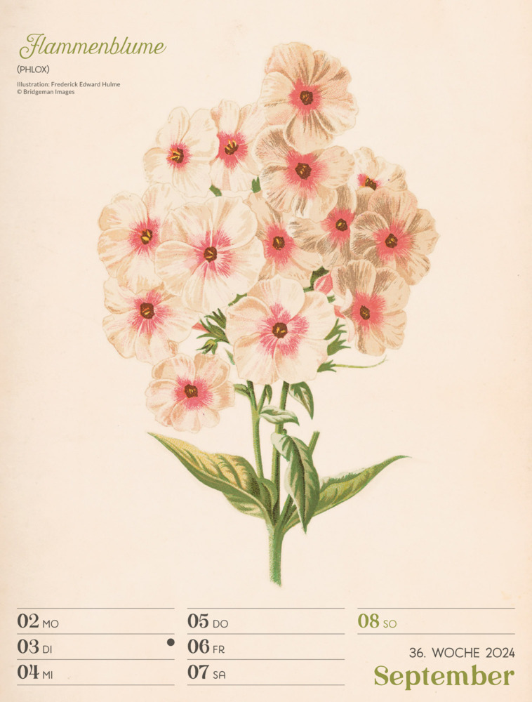 Bild: 9783838434124 | Ars Floralis - Vintage Wochenplaner Kalender 2024 | Kunstverlag | 2024
