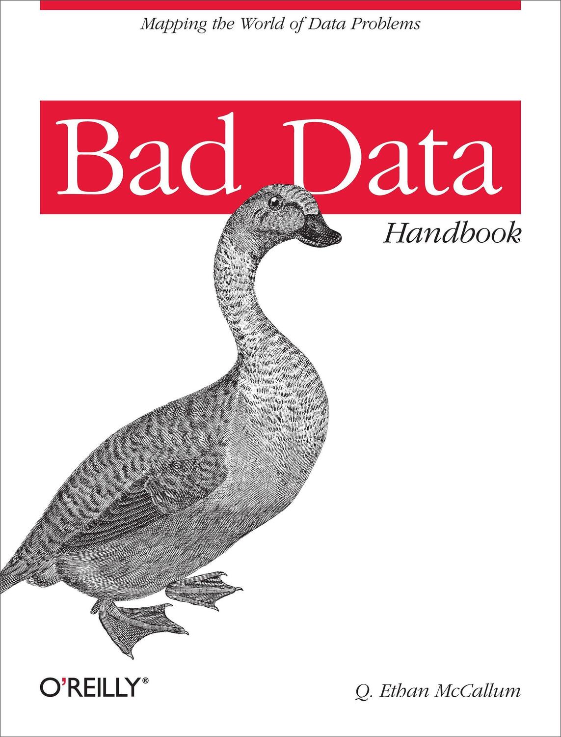 Cover: 9781449321888 | Bad Data Handbook: Cleaning Up the Data So You Can Get Back to Work
