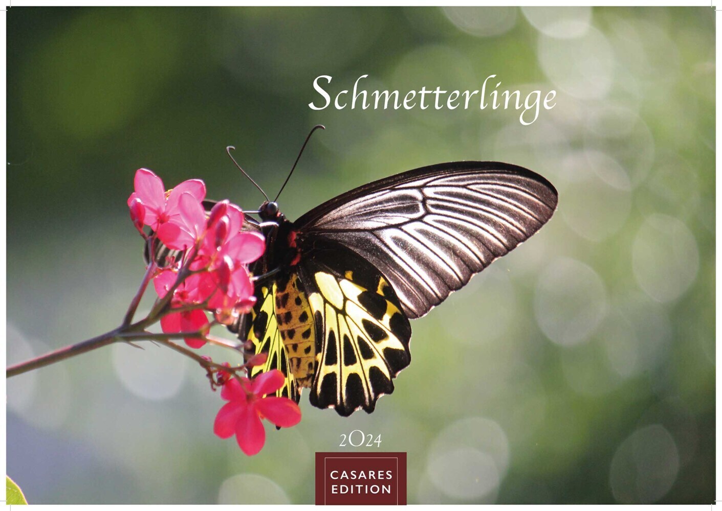 Cover: 9789918618835 | Schmetterlinge 2024 L 35x50cm | Kalender | 14 S. | Deutsch | 2024