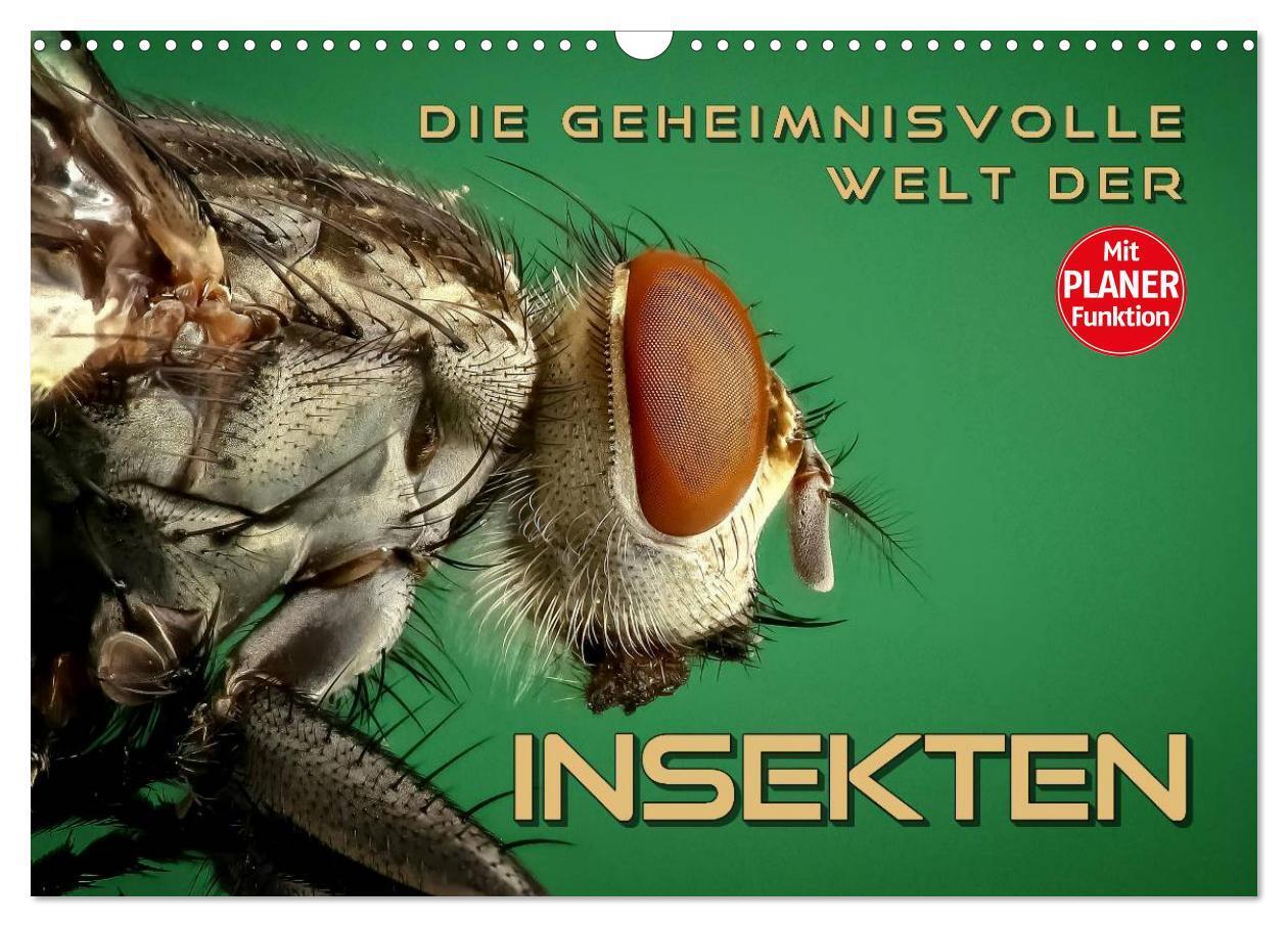 Cover: 9783383273124 | Die geheimnisvolle Welt der Insekten (Wandkalender 2024 DIN A3...