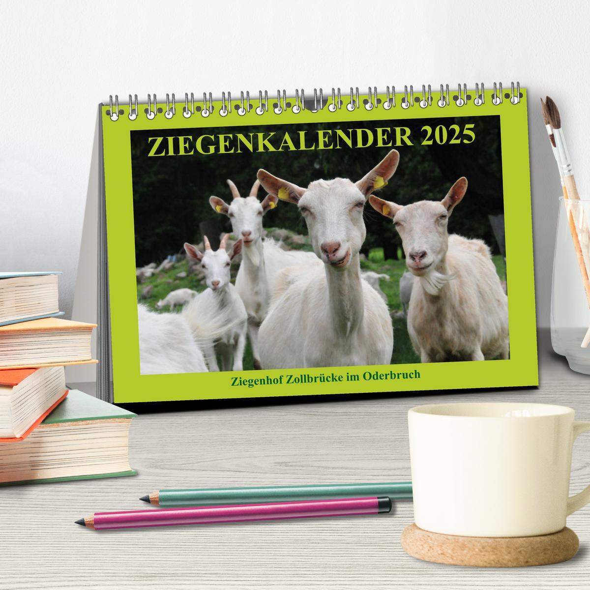 Bild: 9783435339105 | Ziegenkalender 2025 (Tischkalender 2025 DIN A5 quer), CALVENDO...