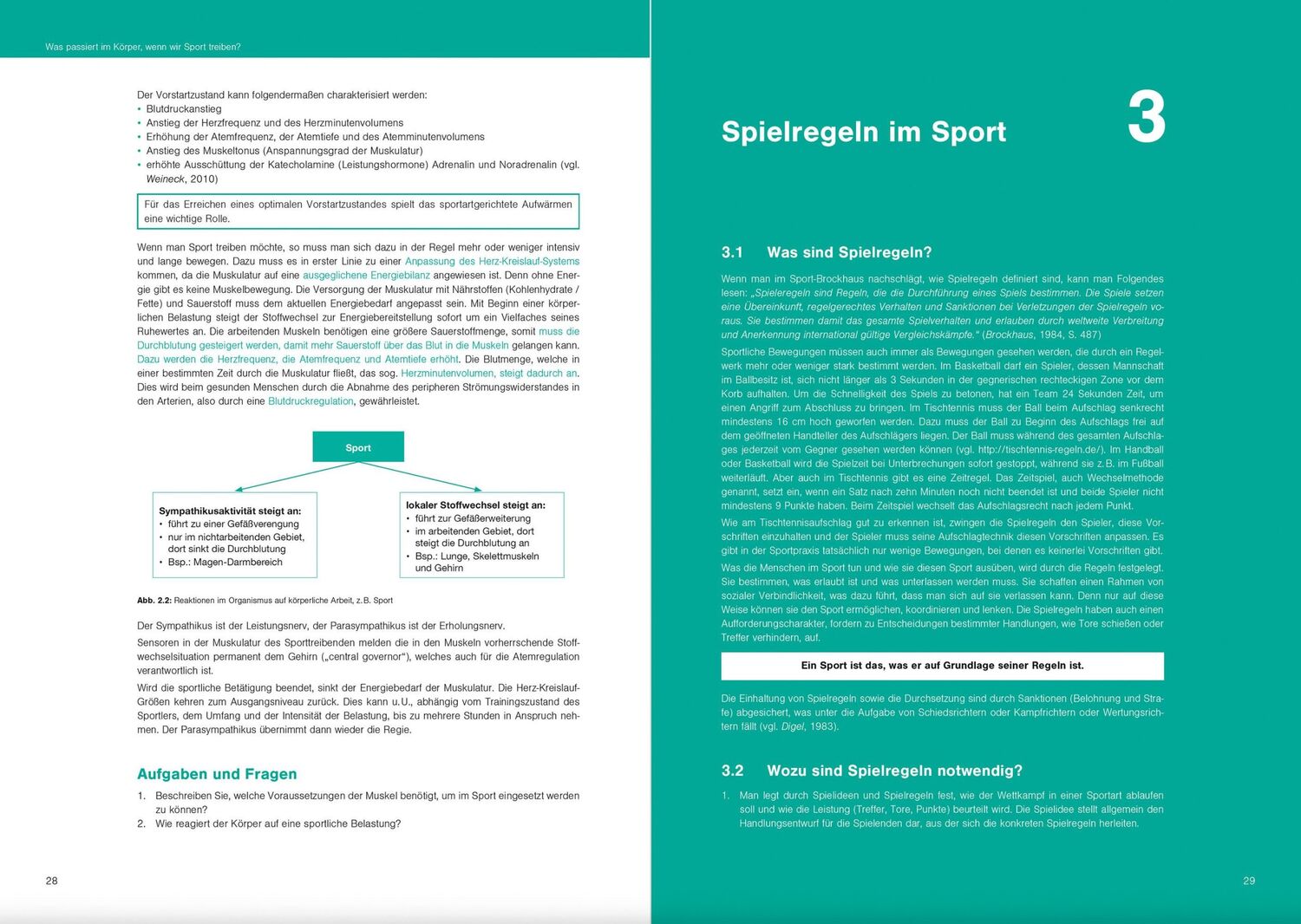 Bild: 9783964161017 | Fit im Schulsport | Optimales Sportwissen für das Sportprofil | Buch