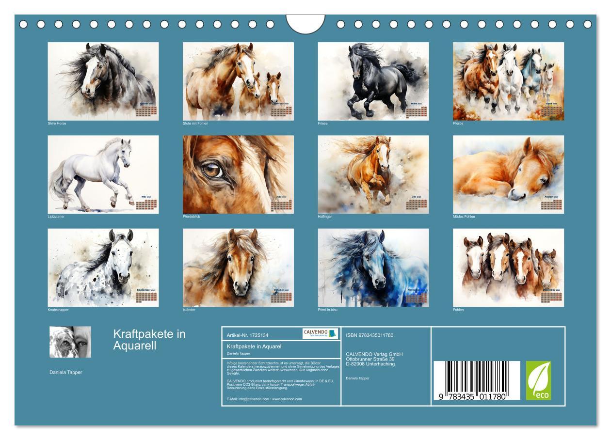 Bild: 9783435011780 | Kraftpakete in Aquarell (Wandkalender 2025 DIN A4 quer), CALVENDO...