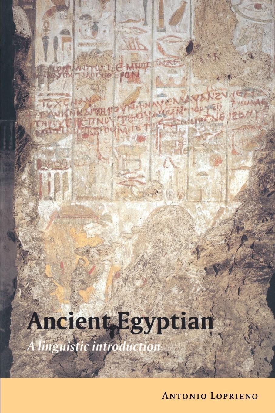 Cover: 9780521448499 | Ancient Egyptian | A Linguistic Introduction | Antonio Loprieno | Buch