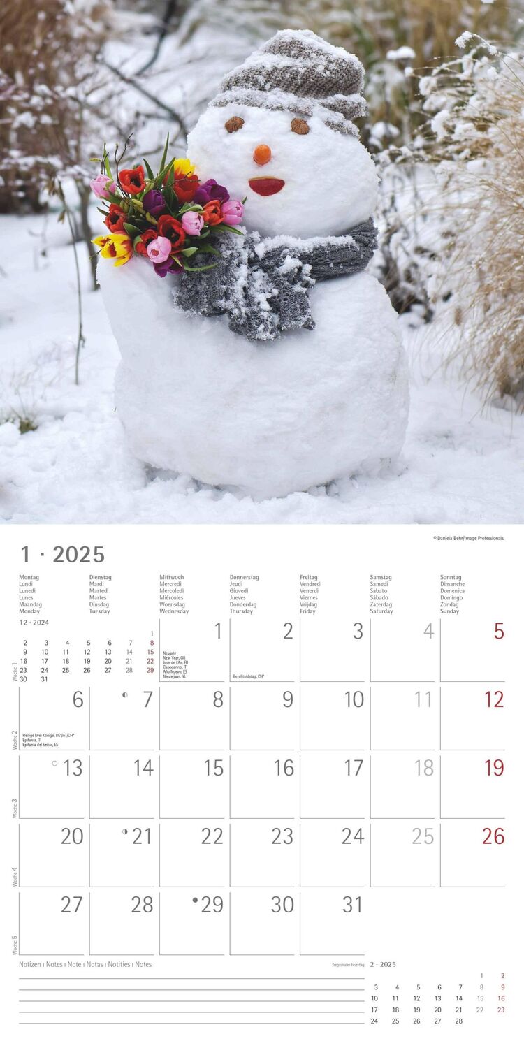 Bild: 4251732340636 | Garden &amp; Decoration 2025 - Broschürenkalender 30x30 cm (30x60...