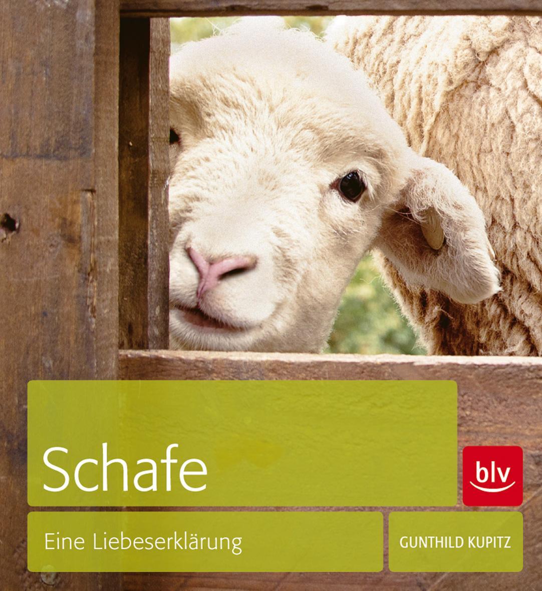Cover: 9783835411395 | Schafe | Eine Liebeserklärung | Gunthild Kupitz | Buch | Deutsch | BLV