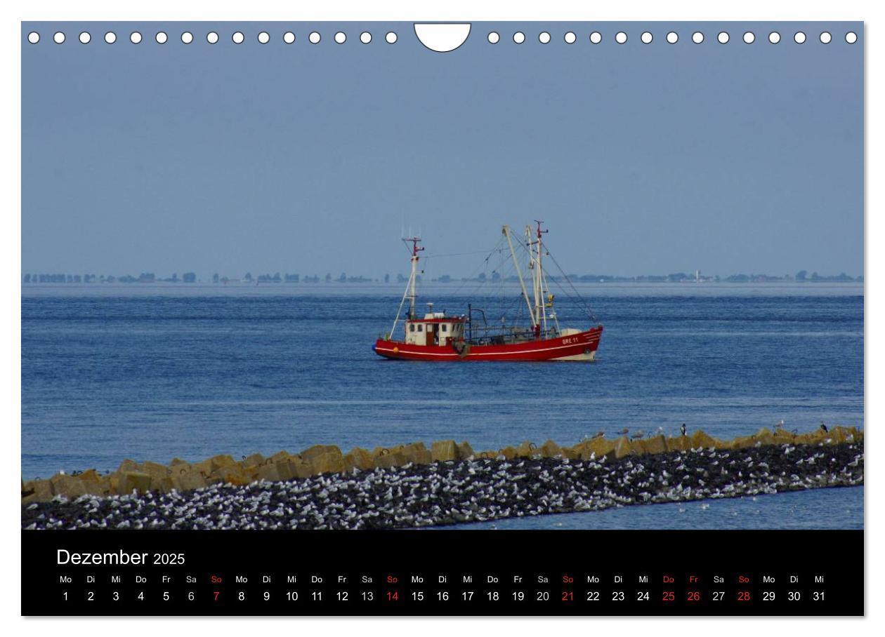 Bild: 9783435765393 | Cuxhaven an der Nordsee (Wandkalender 2025 DIN A4 quer), CALVENDO...