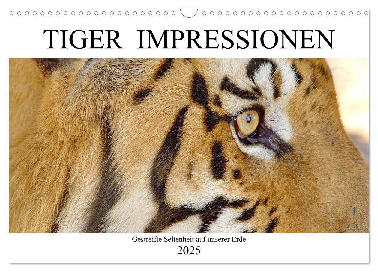 Cover: 9783435312054 | TIGER IMPRESSIONEN Gestreifte Seltenheit auf unserer Erde...