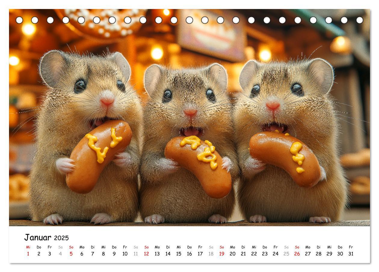 Bild: 9783457211694 | Hamster im Freizeitpark - Lustiger Kalender mit Jahrmarkt-Motiven...