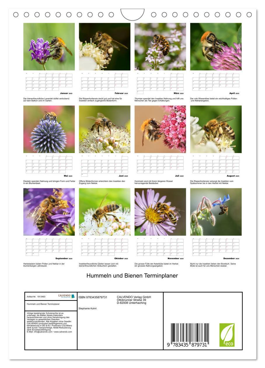 Bild: 9783435879731 | Hummeln und Bienen Terminplaner (Wandkalender 2025 DIN A4 hoch),...