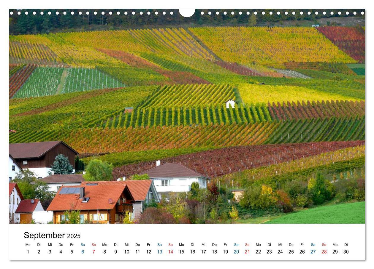 Bild: 9783435804795 | Württemberger Wein 2025 (Wandkalender 2025 DIN A3 quer), CALVENDO...