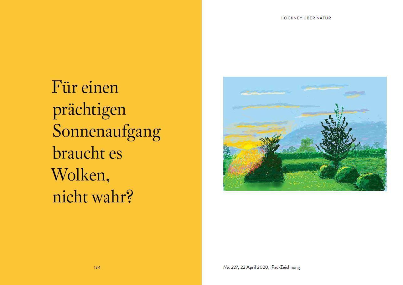 Bild: 9783791377575 | David Hockney und wie er die Welt sieht | David Hockney (u. a.) | Buch