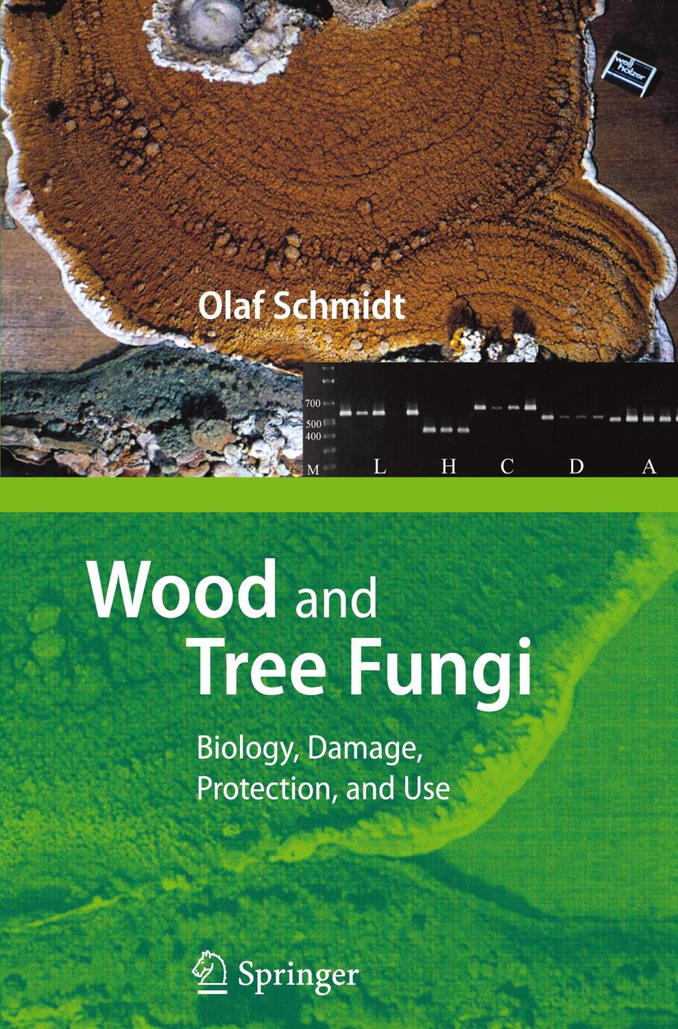 Cover: 9783642068751 | Wood and Tree Fungi | Biology, Damage, Protection, and Use | Schmidt