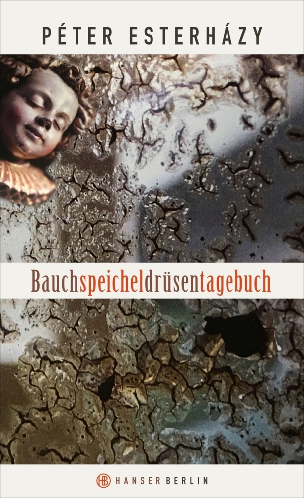 Cover: 9783446255449 | Bauchspeicheldrüsentagebuch | Péter Esterházy | Buch | Deutsch | 2017