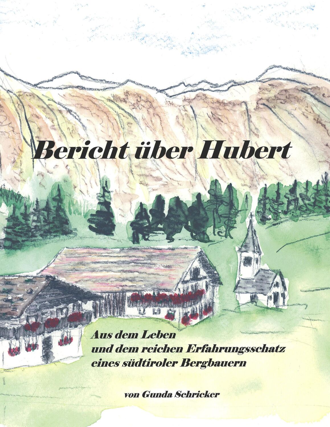 Cover: 9783833006081 | Bericht über Hubert | Gunda Schricker | Taschenbuch | Paperback | 2003