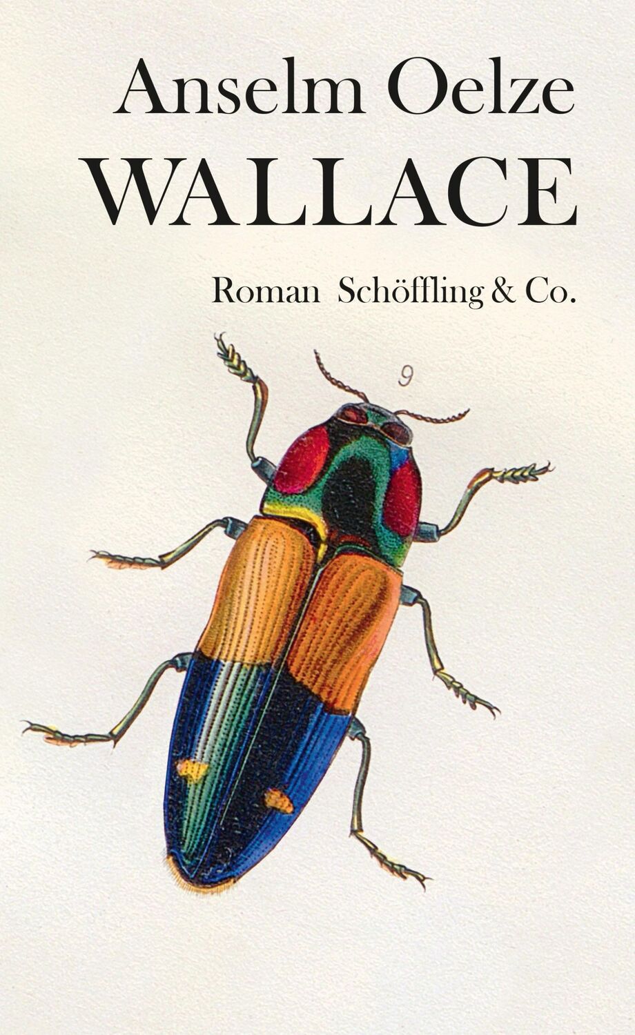 Cover: 9783895611322 | Wallace | Anselm Oelze | Buch | 264 S. | Deutsch | 2019