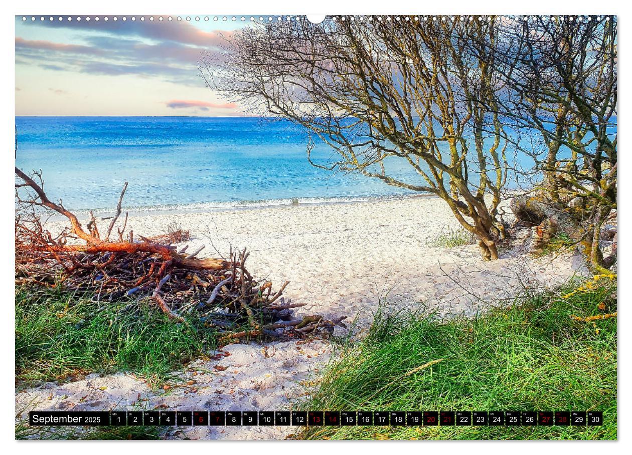 Bild: 9783435023547 | Fischland - Darß- Zingst (Wandkalender 2025 DIN A2 quer), CALVENDO...