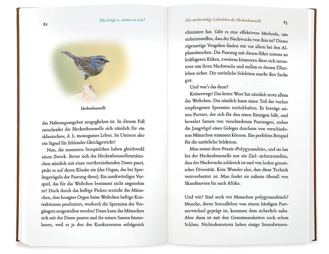 Bild: 9783426277935 | Kleine Philosophie der Vögel | Philippe J. Dubois (u. a.) | Buch