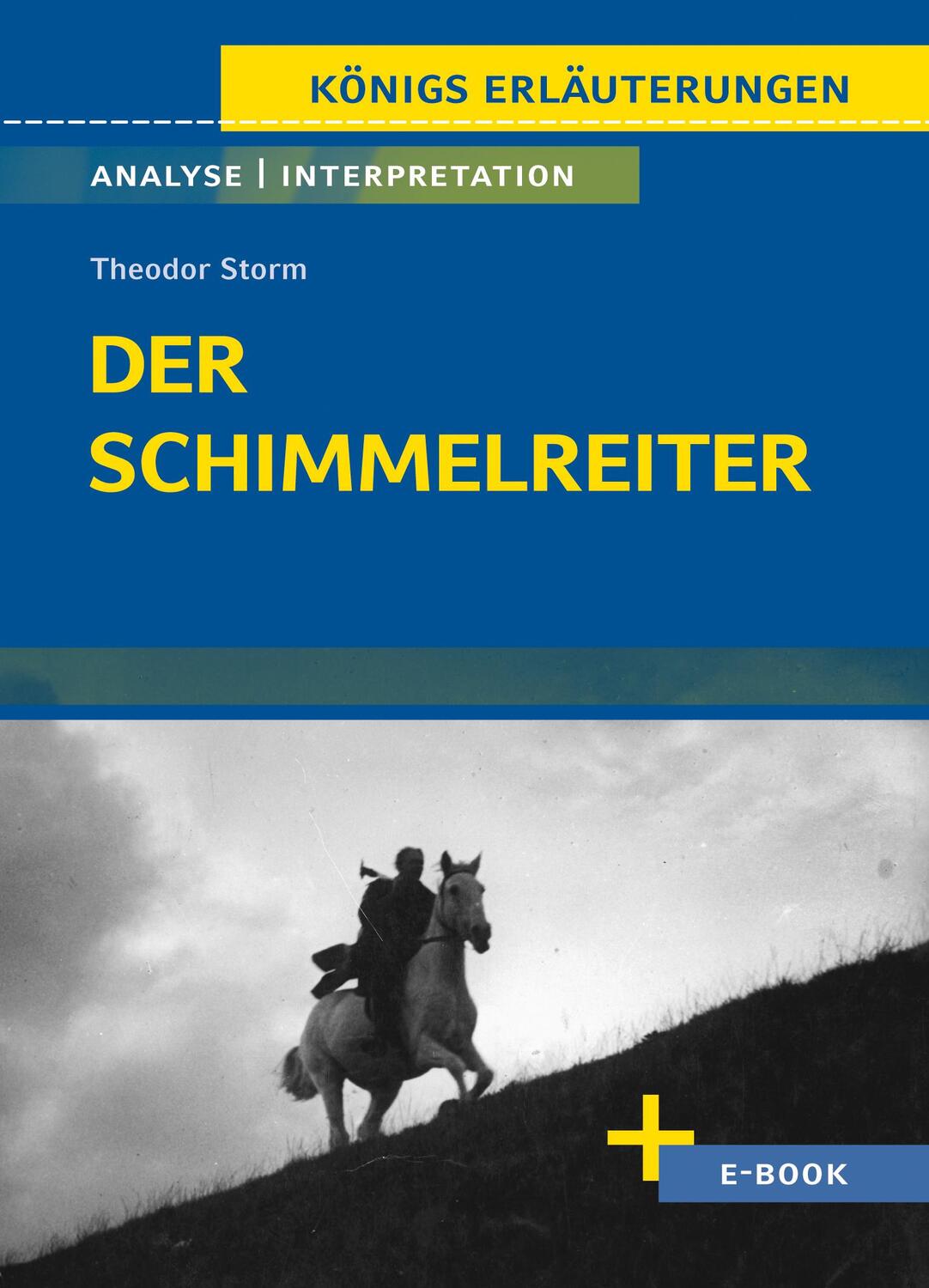 Cover: 9783804420960 | Der Schimmelreiter von Theodor Storm. | Theodor Storm | Taschenbuch