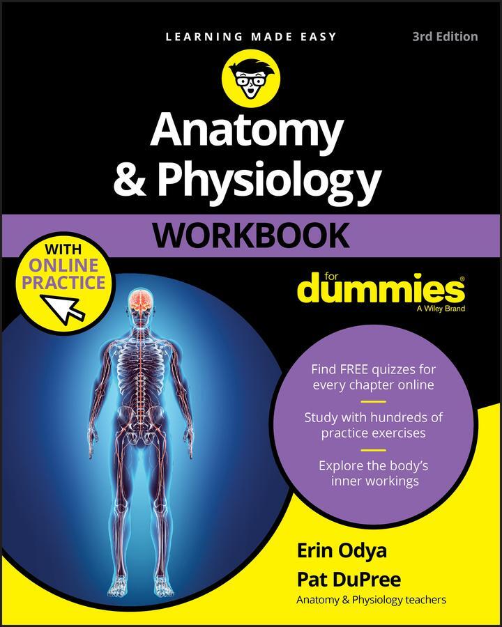 Cover: 9781119473596 | Anatomy &amp; Physiology Workbook for Dummies with Online Practice | Buch