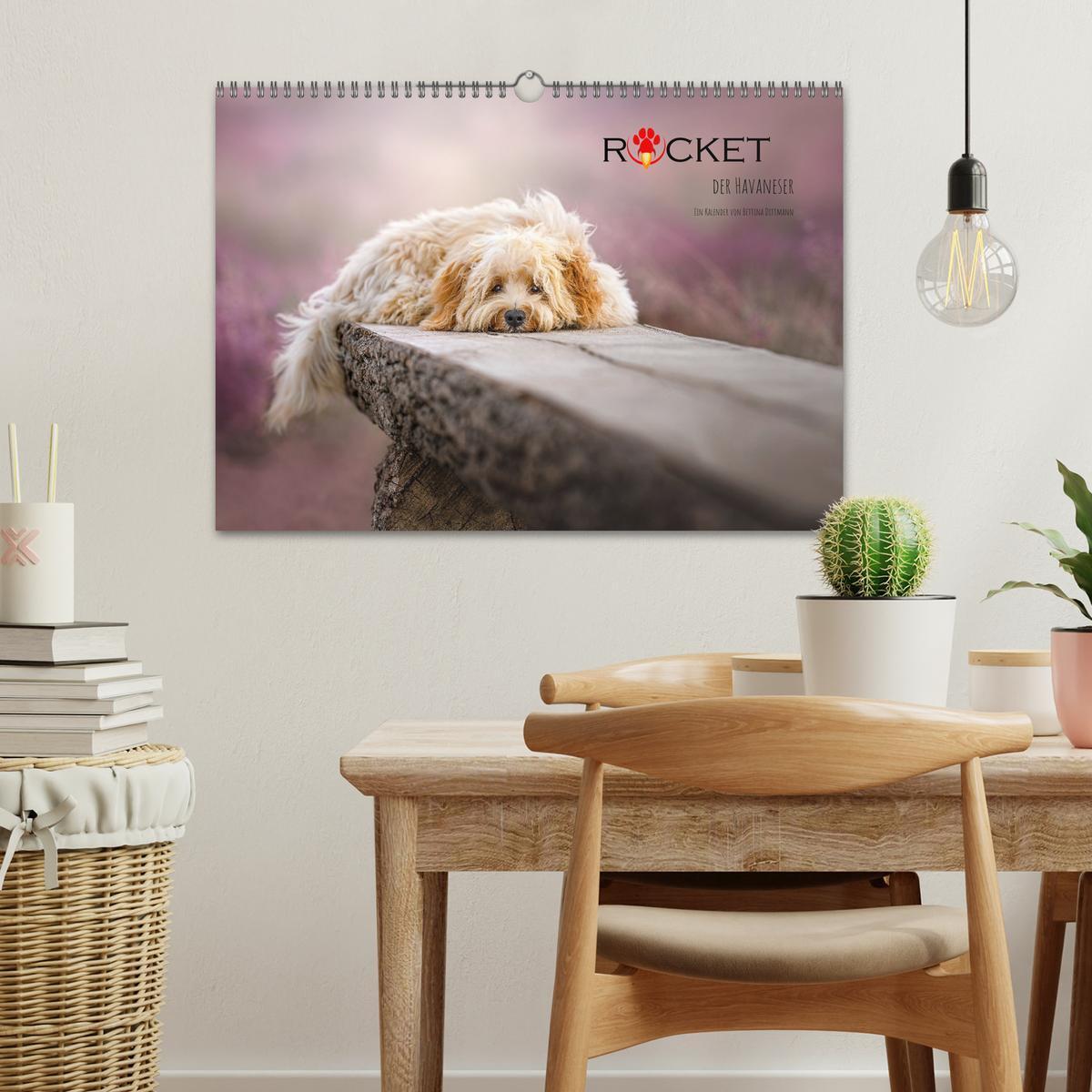 Bild: 9783435033829 | Rocket der Havaneser (Wandkalender 2025 DIN A3 quer), CALVENDO...