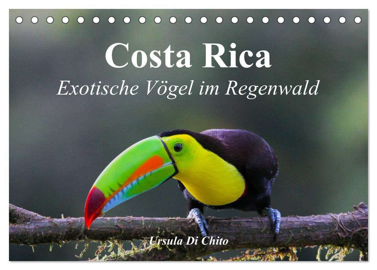 Cover: 9783435618668 | Costa Rica - Exotische Vögel im Regenwald (Tischkalender 2025 DIN...