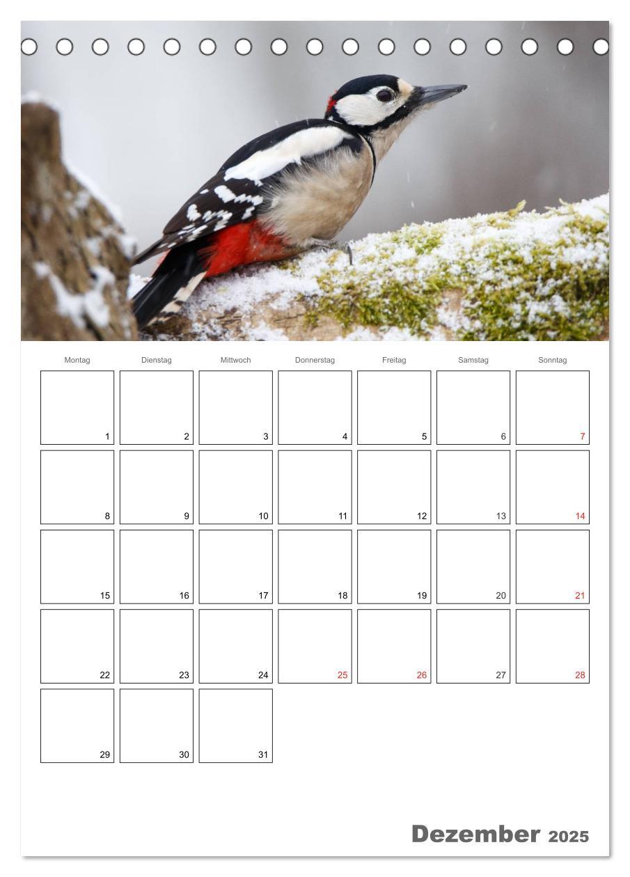 Bild: 9783457007730 | Vögel im heimischen Garten (Tischkalender 2025 DIN A5 hoch),...