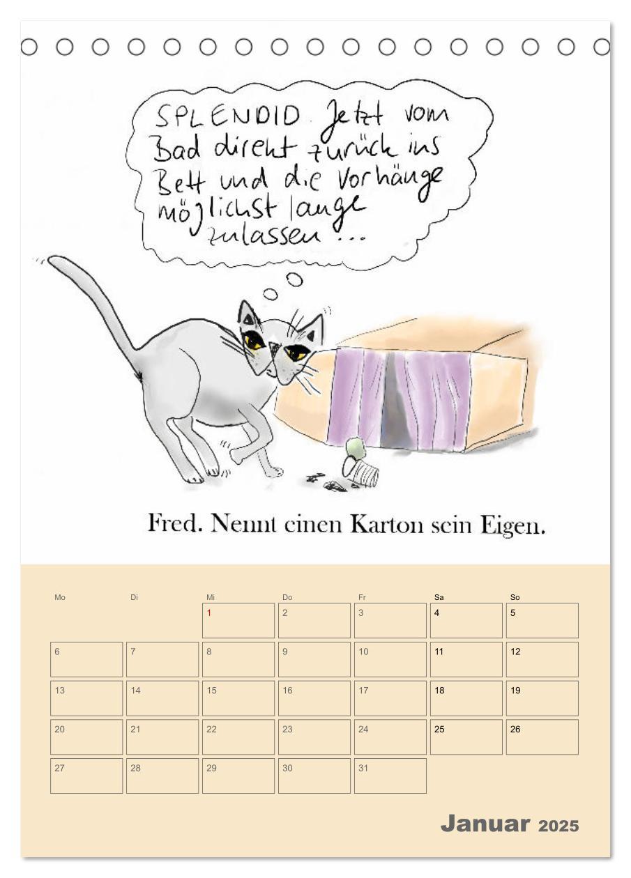 Bild: 9783457220818 | Therapie.Katzen (Tischkalender 2025 DIN A5 hoch), CALVENDO...