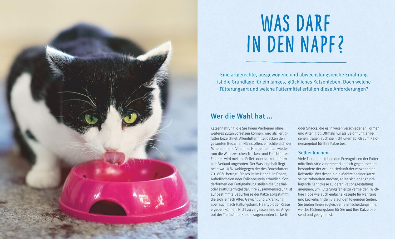 Bild: 9783833852206 | Katzen gesund ernähren | Rundum gut versorgt | Michael Streicher