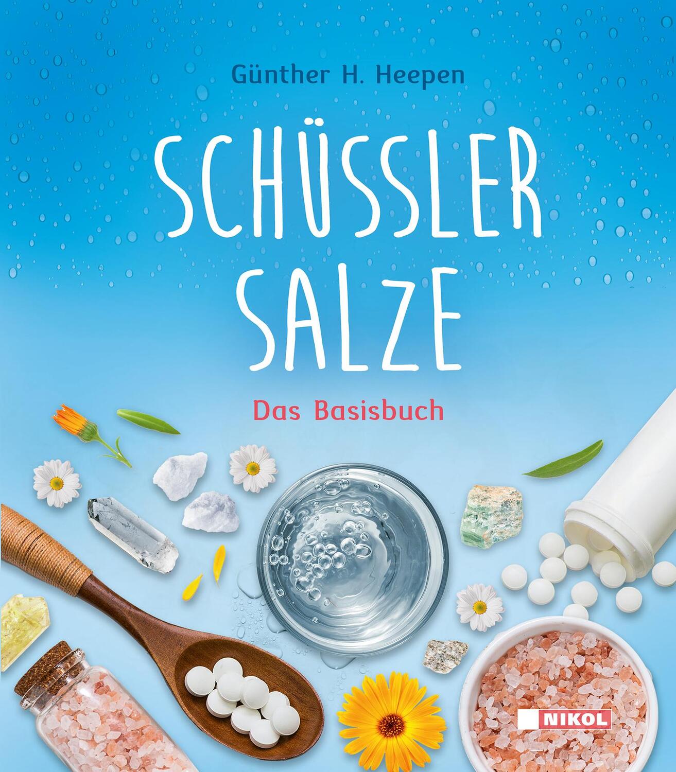 Cover: 9783868206982 | Schüßler-Salze | Das Basisbuch | Günther H. Heepen | Buch | Deutsch