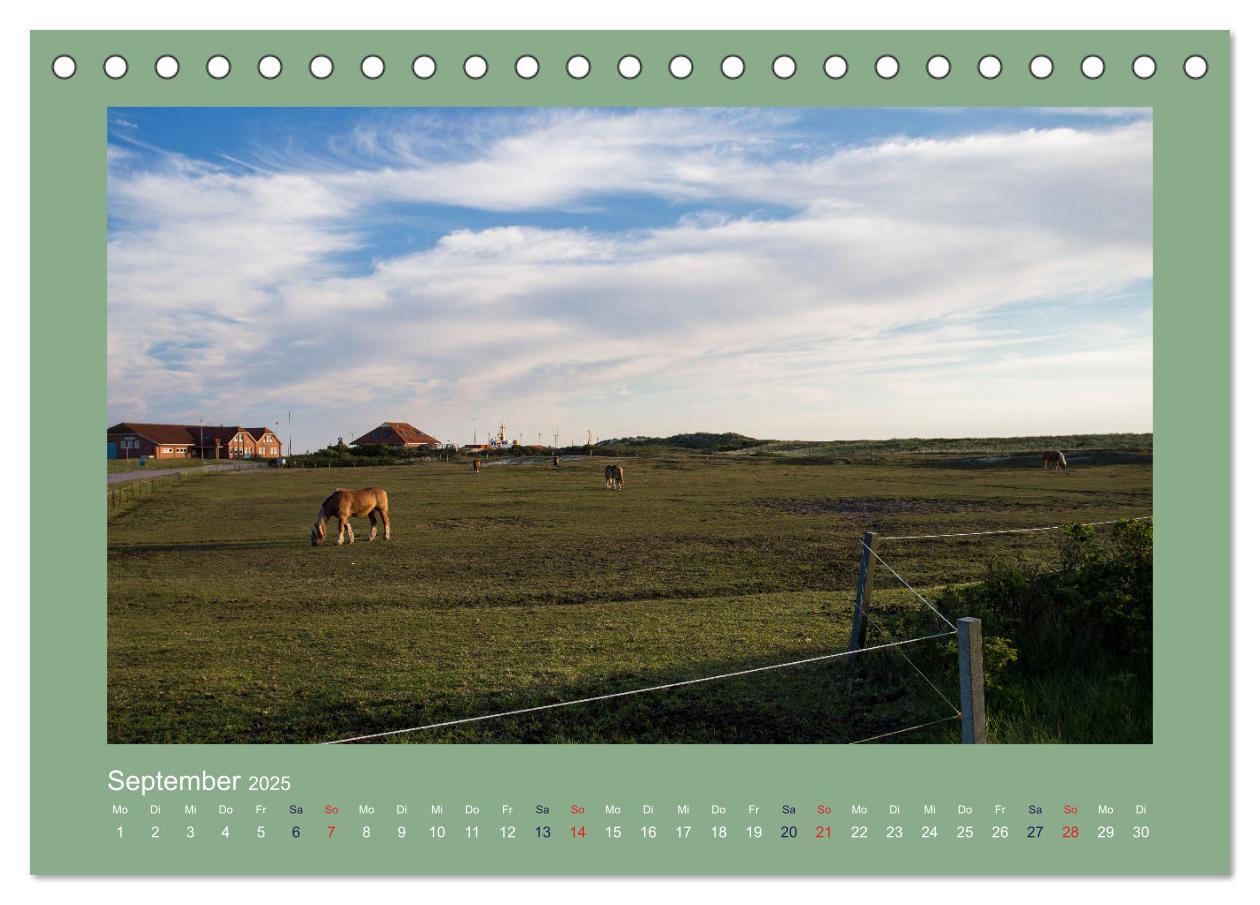 Bild: 9783435023981 | Baltrum - Das Dornröschen der Ostfriesischen Inseln (Tischkalender...