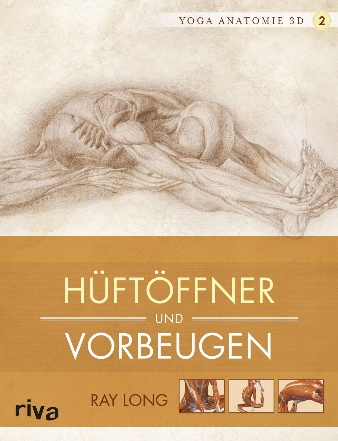 Cover: 9783868834703 | Yoga-Anatomie 3D. Hüftöffner und Vorbeugen | Ray Long | Buch | 224 S.