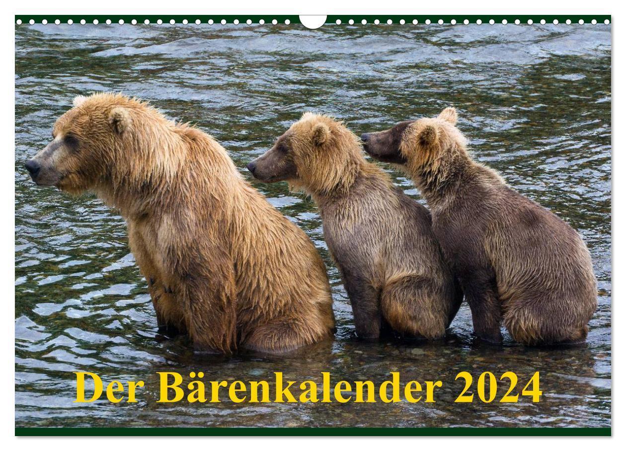 Cover: 9783675706293 | Der Bärenkalender 2024 CH-Version (Wandkalender 2024 DIN A3 quer),...