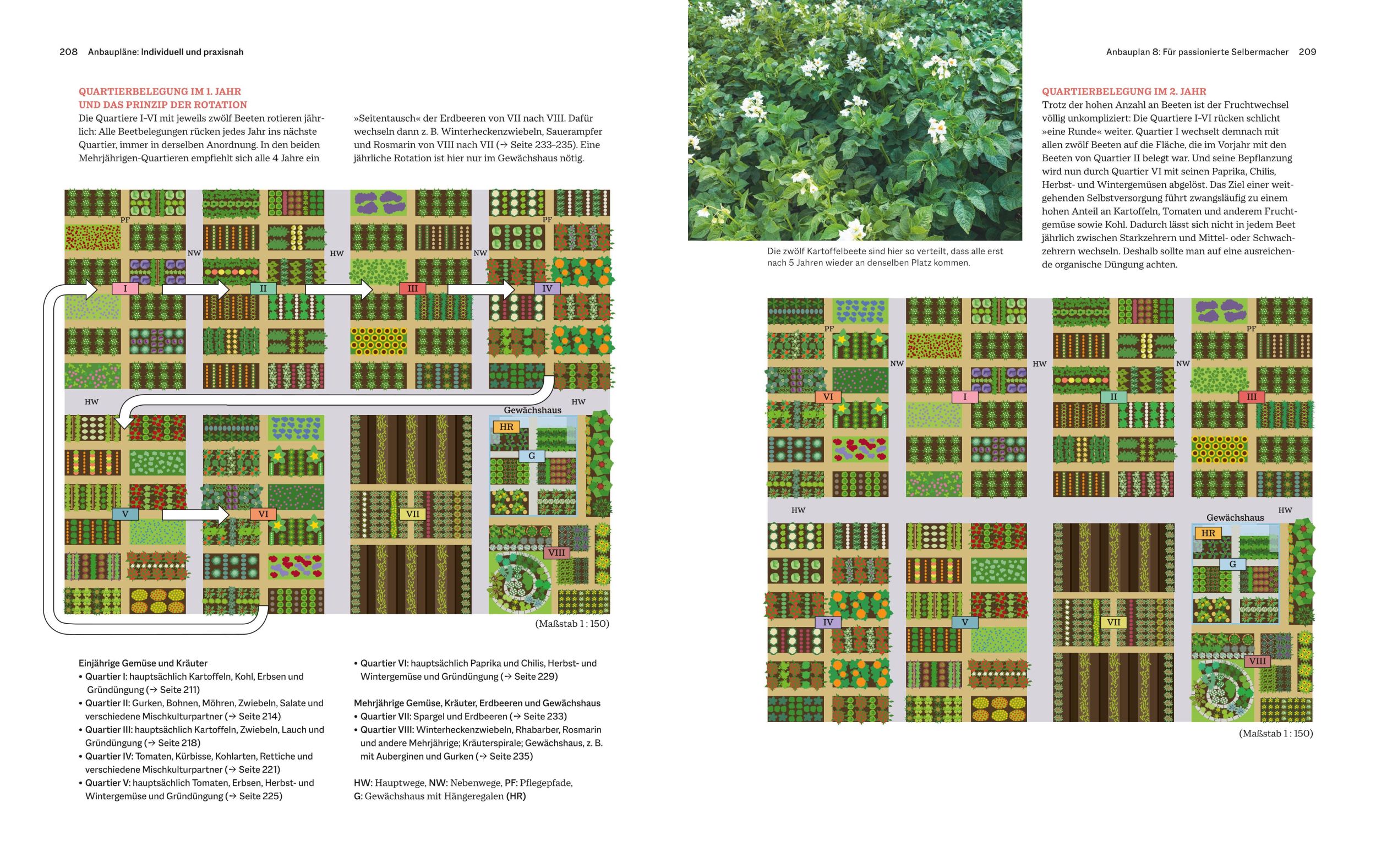 Bild: 9783833897030 | Das große GU Handbuch Gemüse-Anbauplanung | Joachim Mayer | Buch