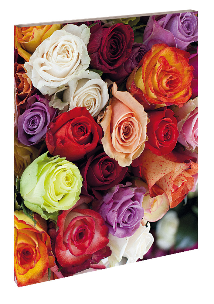 Cover: 9783955709754 | Roses | Blankbook | Tushita-Verlag | Buch | In Kartonage | 140 S.