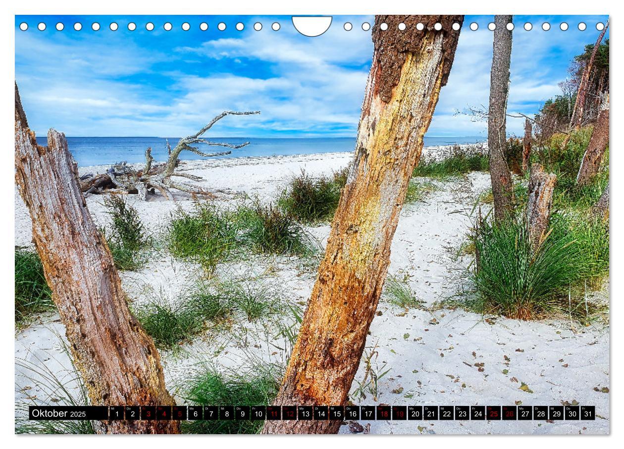 Bild: 9783435024179 | Fischland - Darß- Zingst (Wandkalender 2025 DIN A4 quer), CALVENDO...