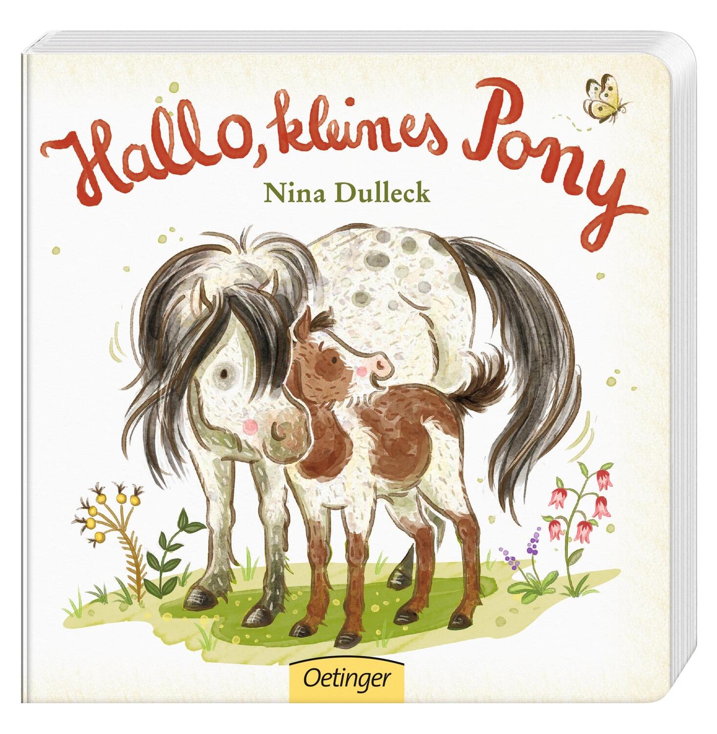 Bild: 9783789108488 | Hallo, kleines Pony! | Nina Dulleck | Buch | 16 S. | Deutsch | 2018