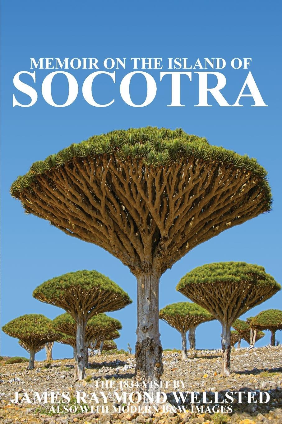 Cover: 9781838075699 | SOCOTRA | Memoir on the Island of Socotra | James Wellsted | Buch