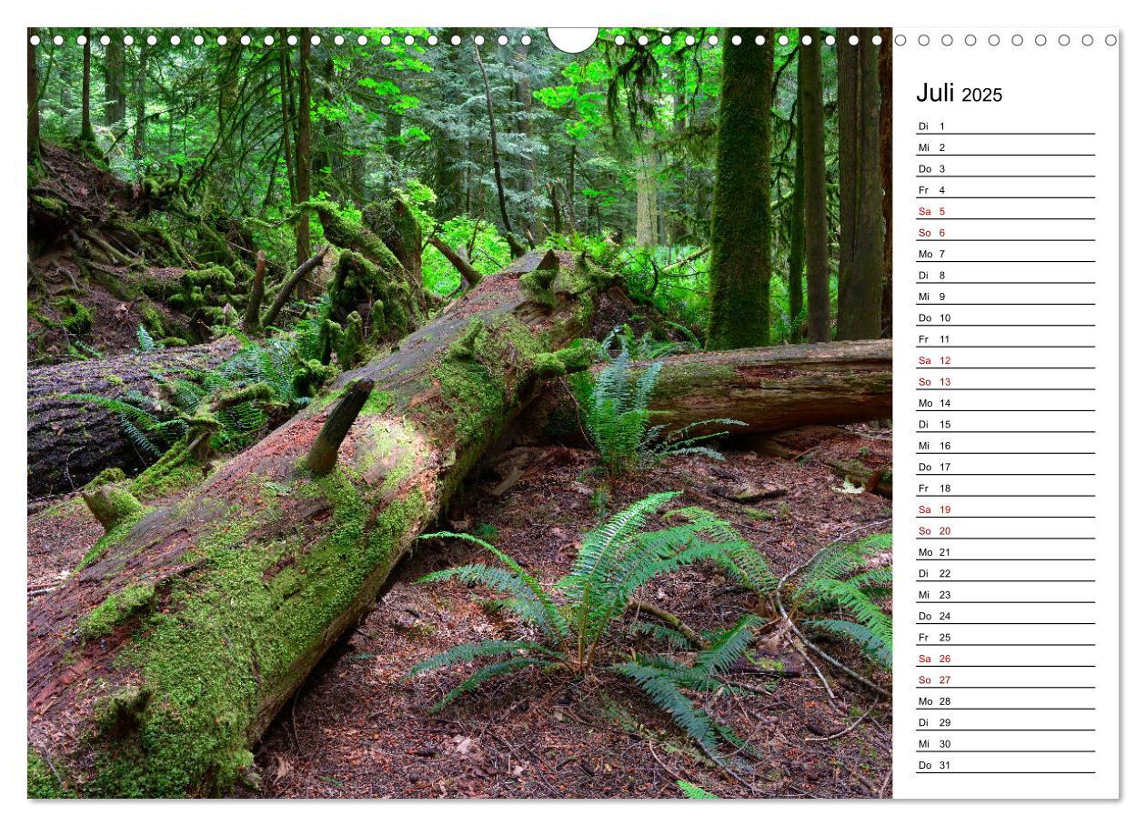 Bild: 9783435443451 | Vancouver Island - Perle im Kanadischen Westen (Wandkalender 2025...