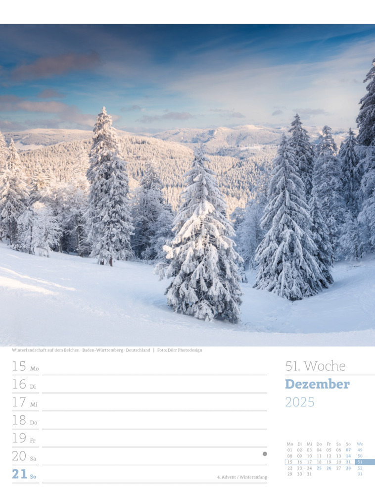 Bild: 9783838425979 | Unser Wald - Wochenplaner Kalender 2025 | Ackermann Kunstverlag | 2025