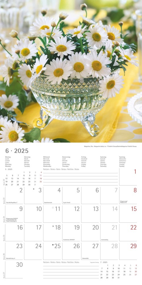 Bild: 4251732340612 | Blumen 2025 - Broschürenkalender 30x30 cm (30x60 geöffnet) -...