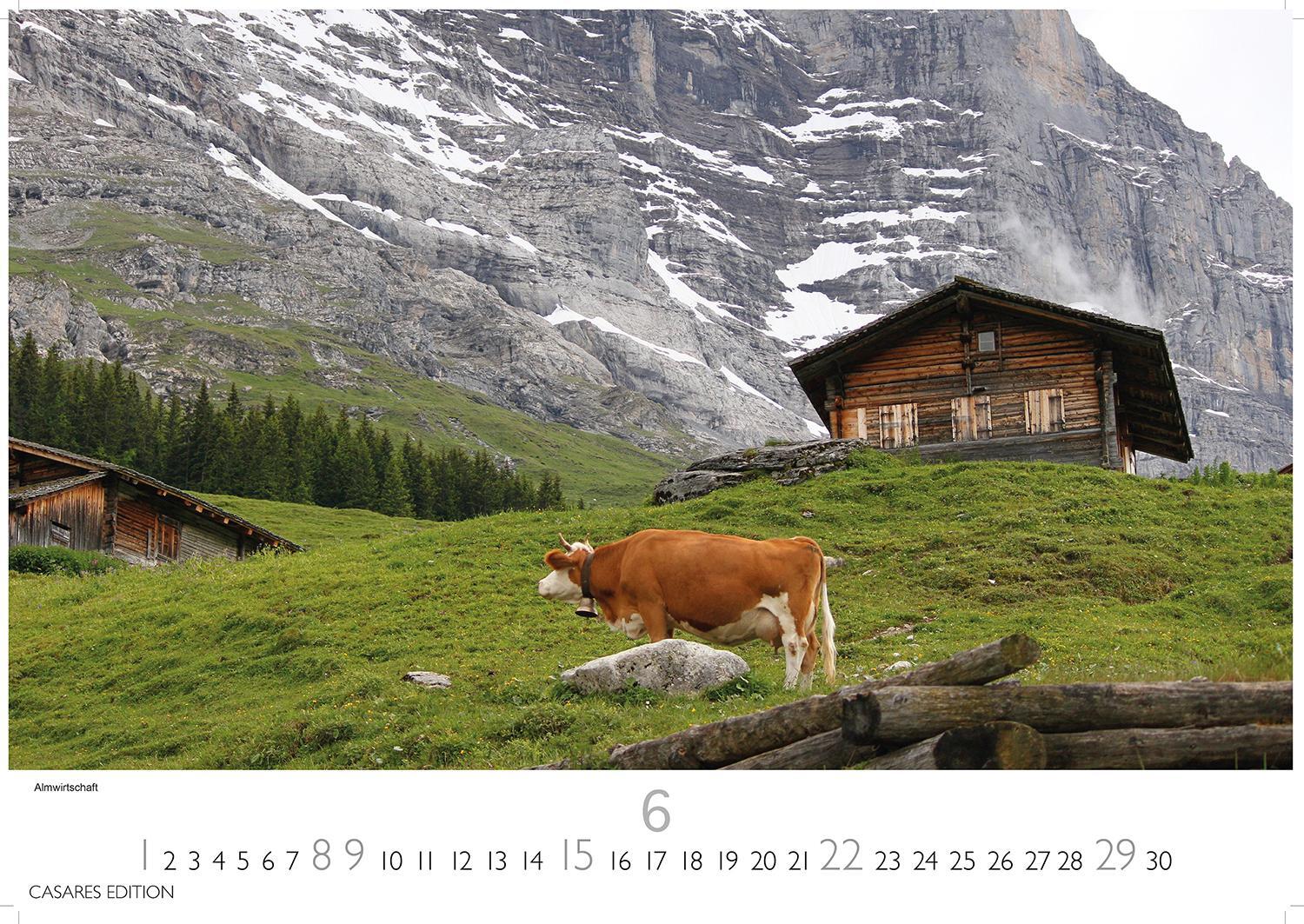 Bild: 9781835241523 | Schweiz 2025 L 35x50cm | Kalender | 14 S. | Deutsch | 2025