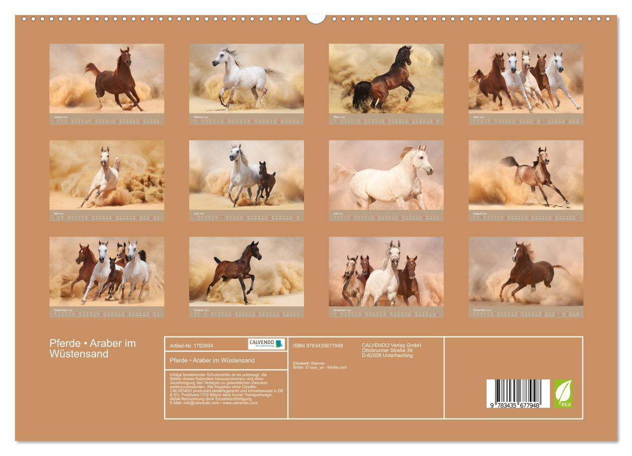 Bild: 9783435677948 | Pferde ¿ Araber im Wüstensand (hochwertiger Premium Wandkalender...