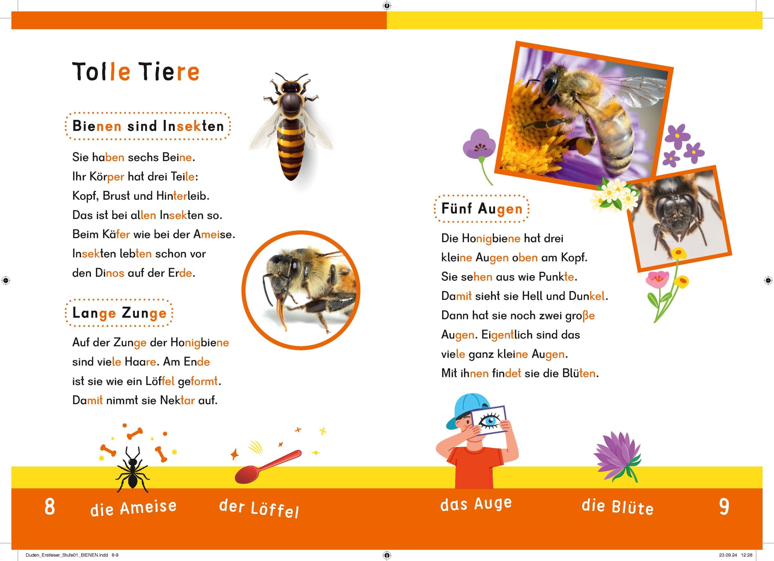 Bild: 9783411733088 | Dein Lesestart: Weißt du schon alles über Bienen? Ab 1. Klasse | Buch