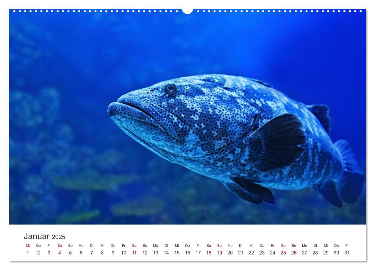 Bild: 9783383937965 | Tiefsee - Ein Abenteuer ins Unbekannte. (Wandkalender 2025 DIN A2...