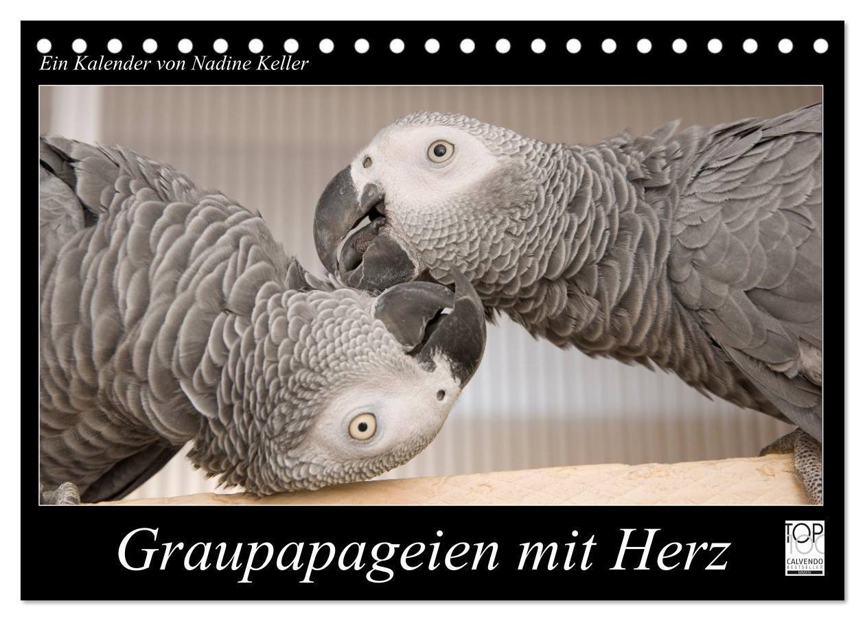 Cover: 9783675960848 | Graupapageien mit Herz (Tischkalender 2024 DIN A5 quer), CALVENDO...
