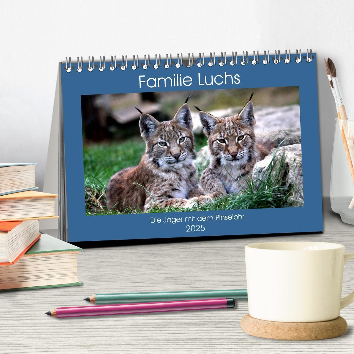 Bild: 9783435419715 | Familie Luchs - Die Jäger mit dem Pinselohr (Tischkalender 2025 DIN...